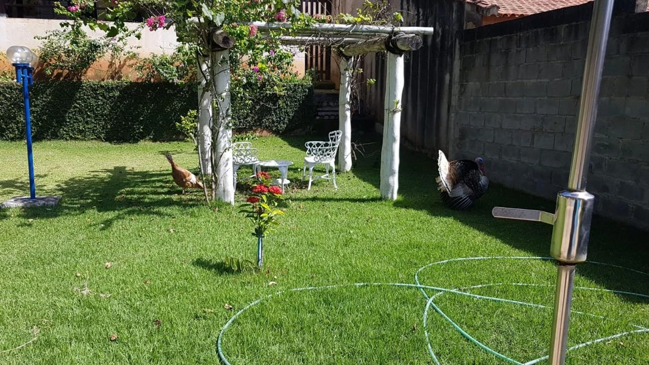 Imagem Chácara com 6 Quartos à Venda, 400 metros em Santa Isabel - Santa Isabel
