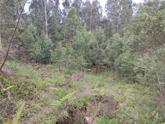 Terreno à Venda, 1.480 m² em LEÃO - Agudos do Sul