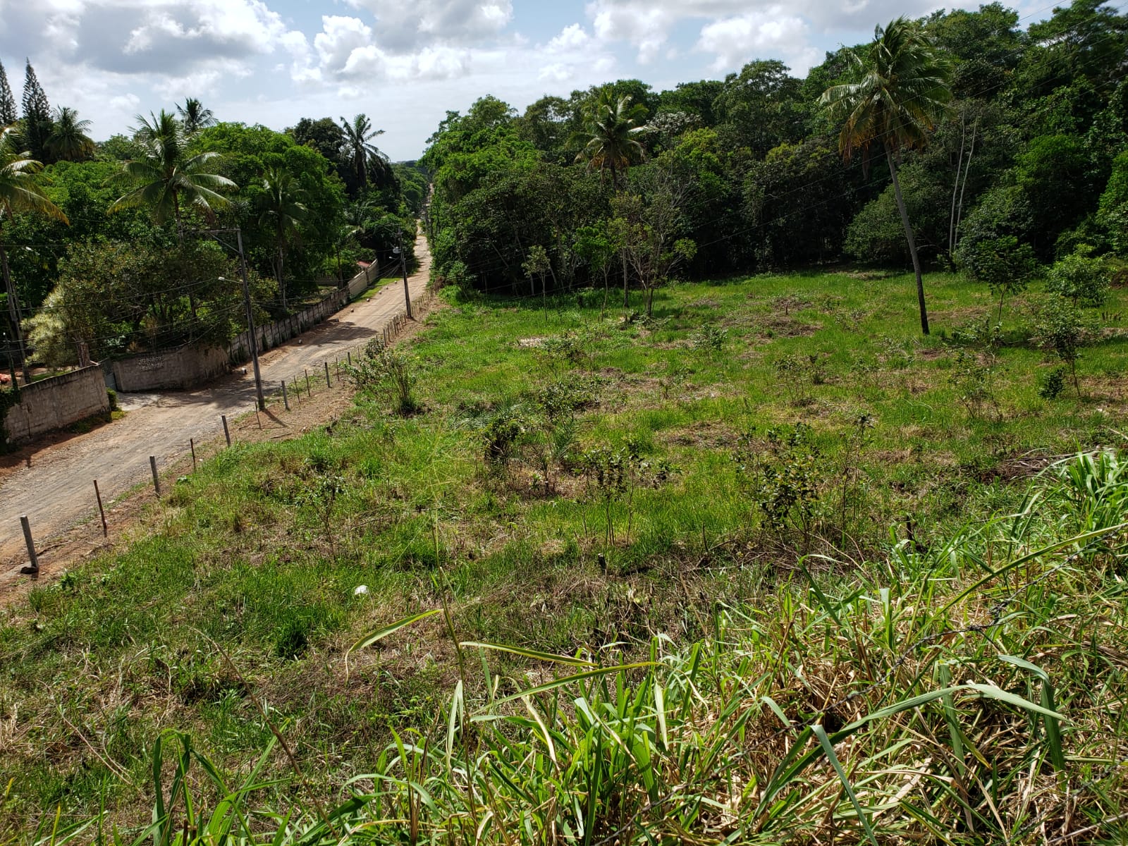 Imagem Terreno à Venda, 4900 metros em CIA I - Simões Filho