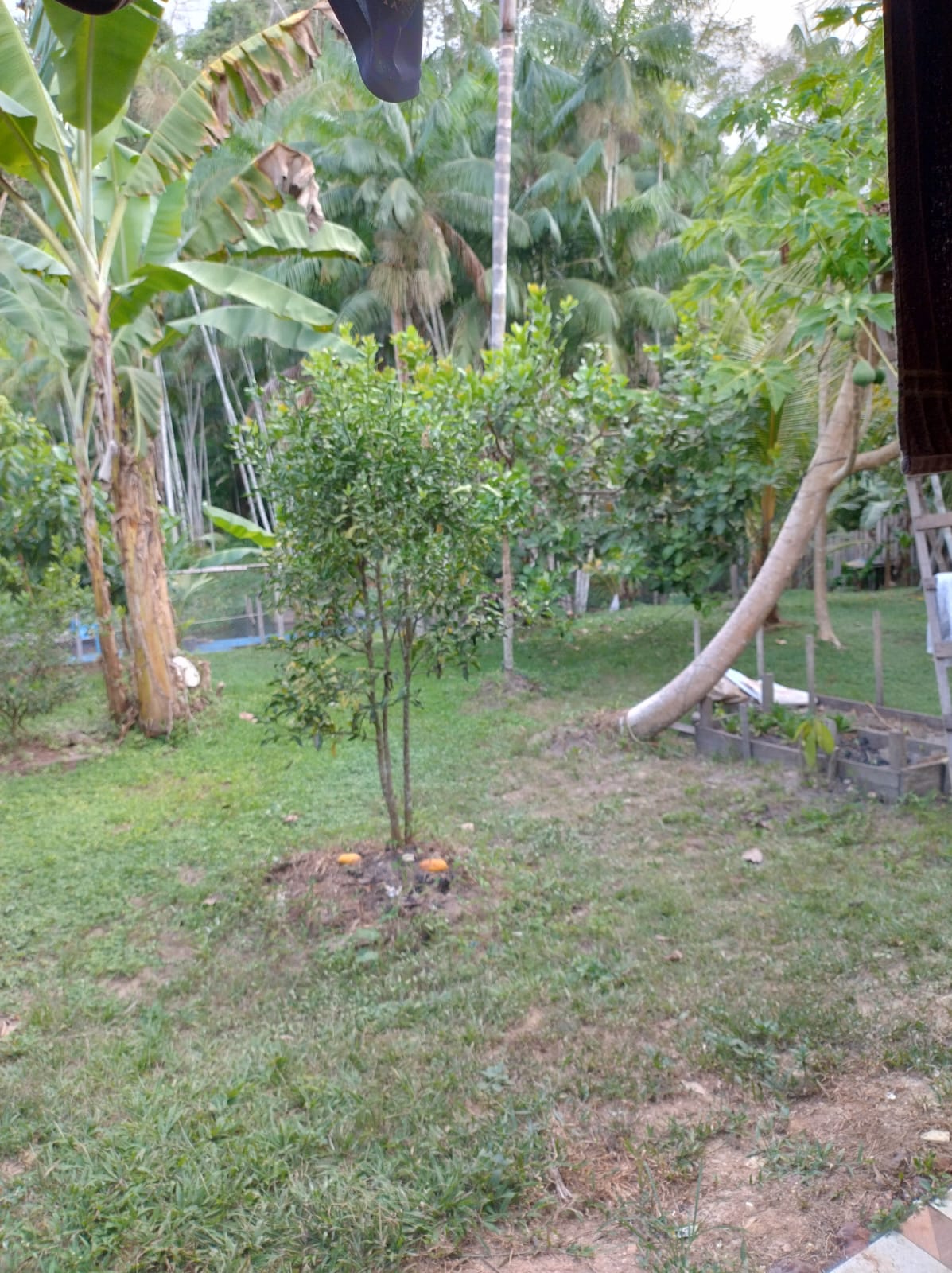 Imagem Terreno à Venda, 807 m²em Alter do Chão - Santarém