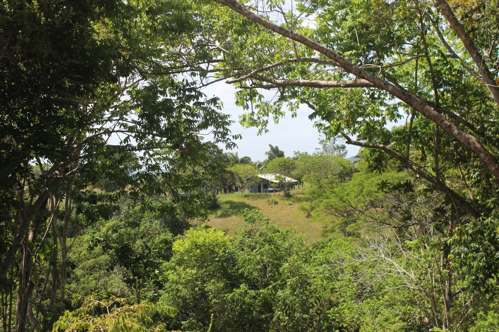Foto do imóvel: Chácara com 2 Quartos à Venda, 20100 m² em Mata de São João - Mata de São João