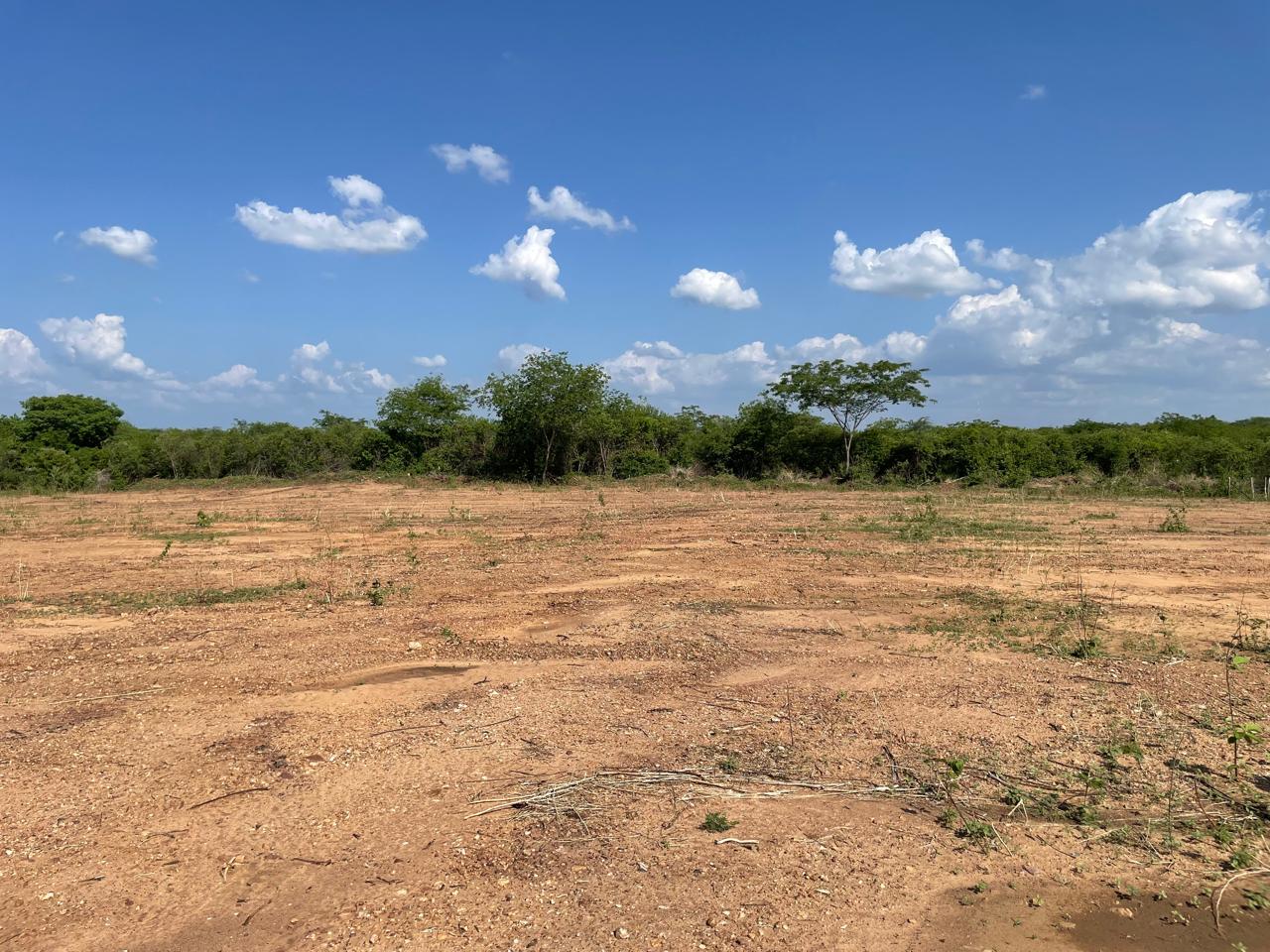 Foto do imóvel: Terreno à Venda ou Locação, 1.000 m² em Zona Rural - Itaporanga