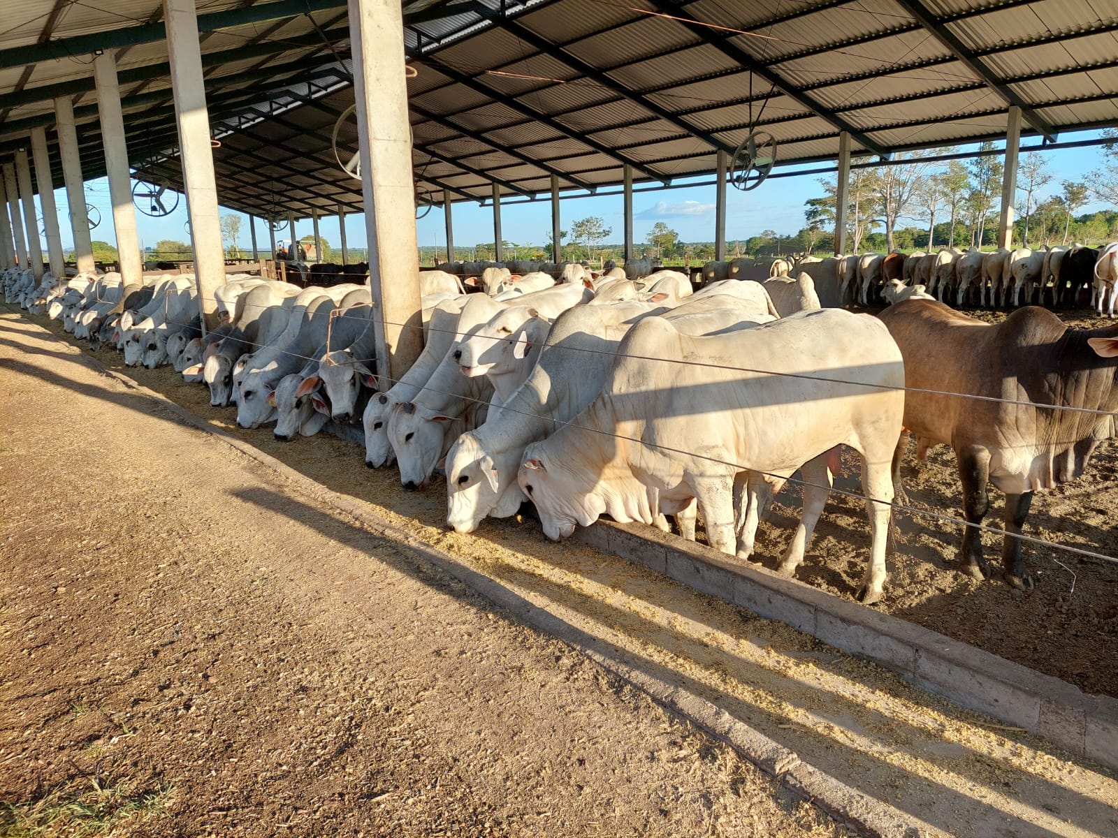 Imagem Fazenda à Venda, 968 m² em Estiva - Itajubá