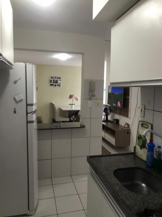 Imagem Apartamento com 2 Quartos à Venda, 54 m² em Solar dos Lusitanos - São Luís