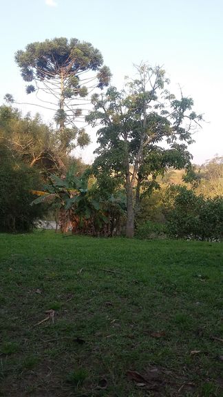 Chácara com 5 Quartos à Venda, 7.485 m² em Palmeiras De São Paulo - Suzano