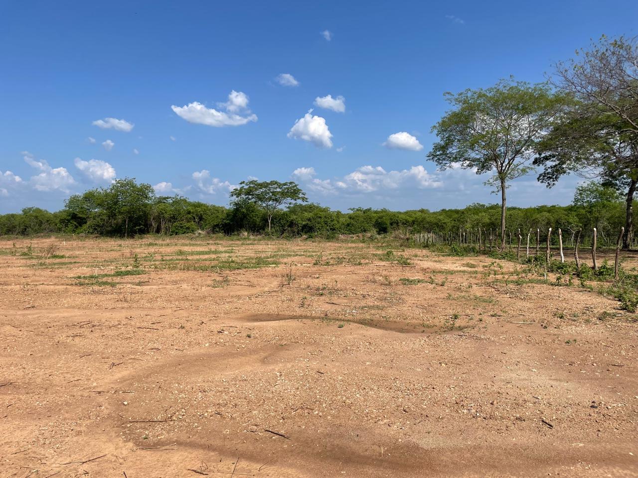 Foto do imóvel: Terreno à Venda ou Locação, 1.000 m² em Zona Rural - Itaporanga
