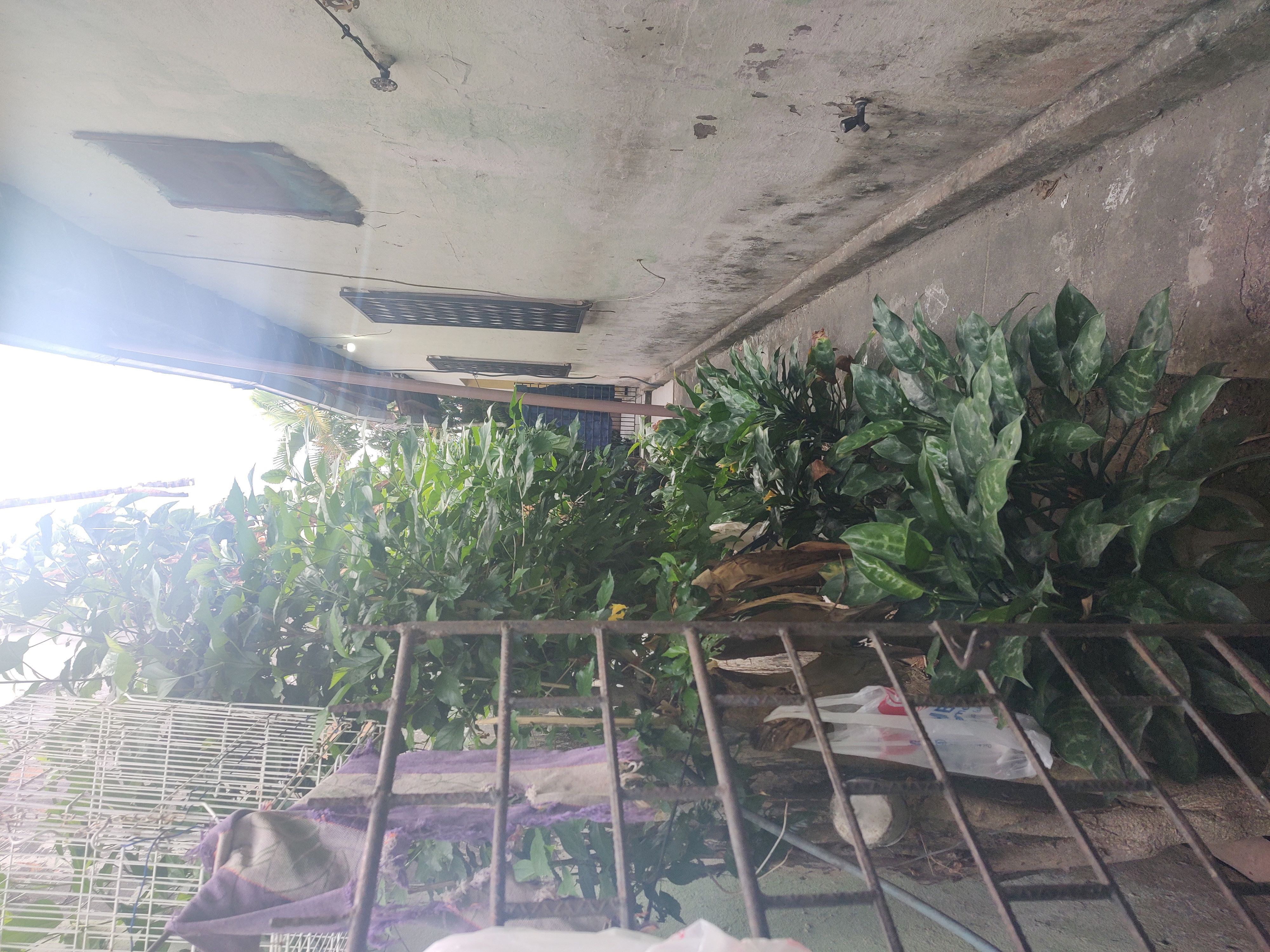 Imagem Casa com 3 Quartos à Venda, 195 m² em Bonsucesso - Fortaleza
