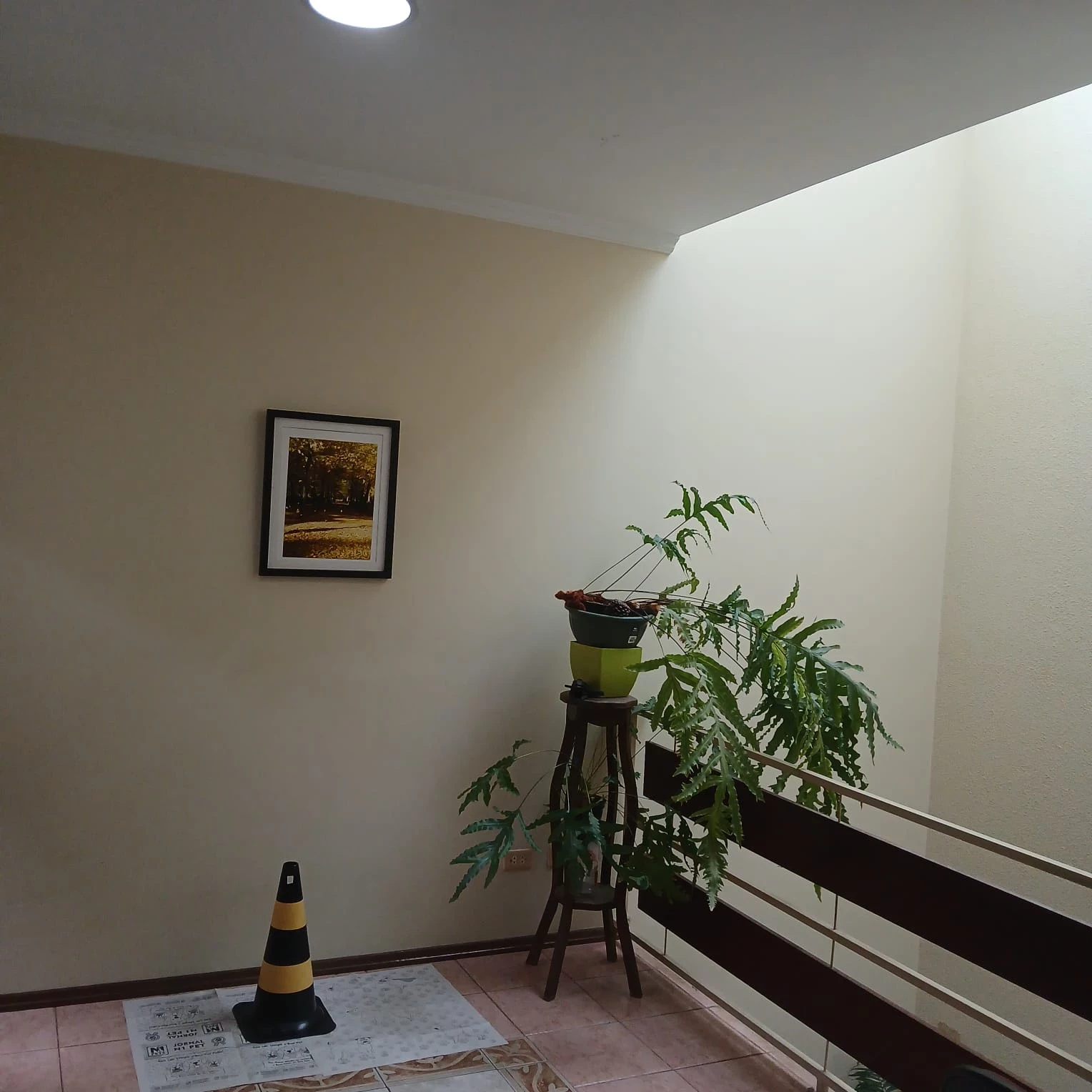 Foto do imóvel: Sobrado com 3 Quartos à Venda, 259 m² em Nova Petrópolis - São Bernardo do Campo