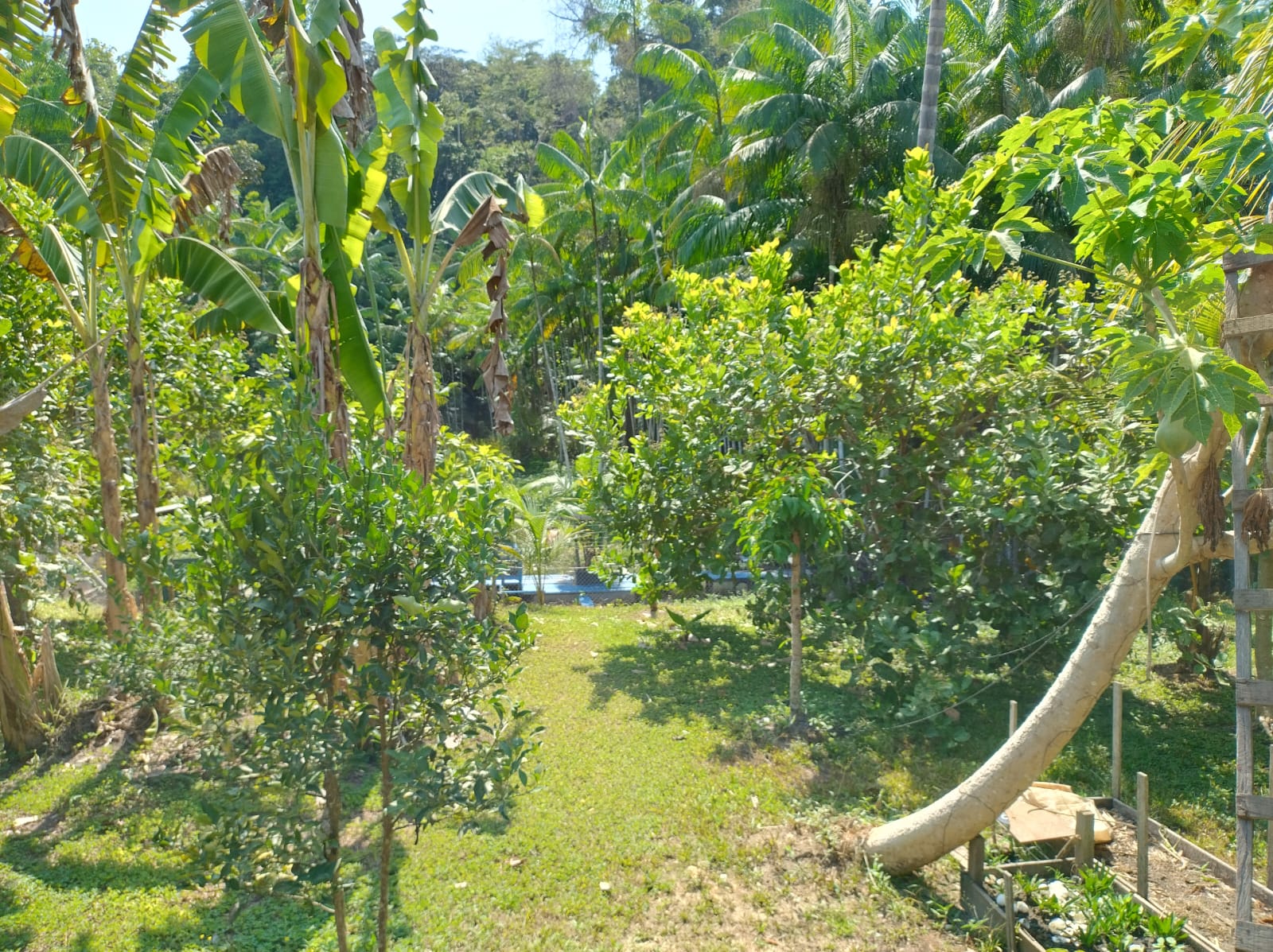 Imagem Terreno à Venda, 807 m²em Alter do Chão - Santarém