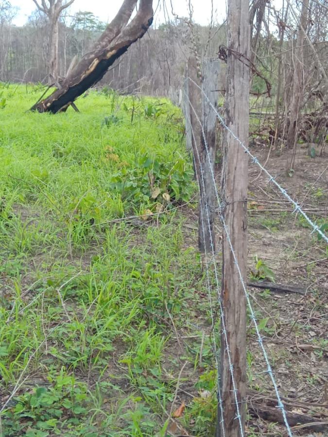 Imagem Chácara com 3 Quartos à Venda, 350 m²em 100 - Bragança