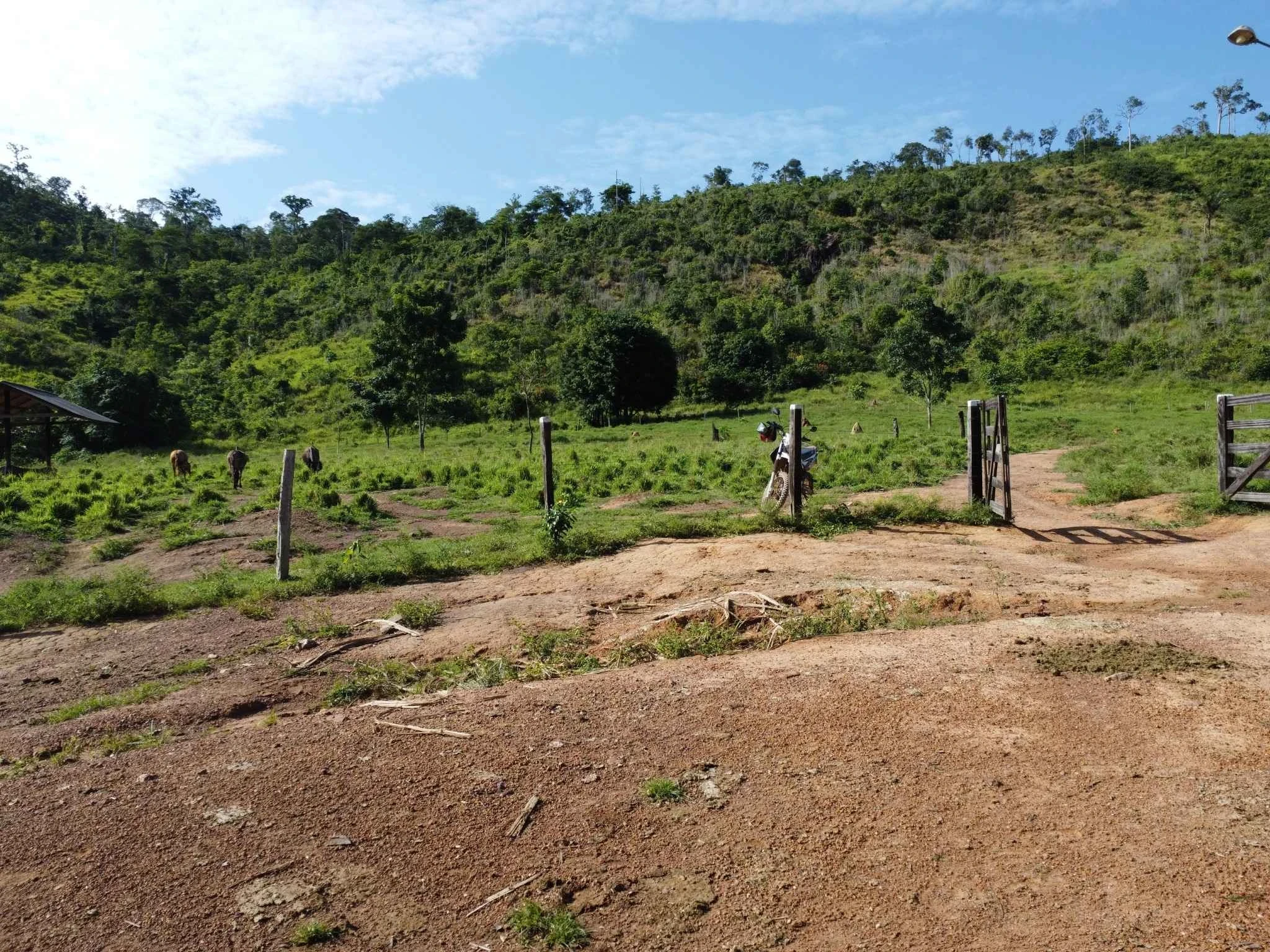 Foto do imóvel: Fazenda à Venda, 90 Alq. GO em São Félix do Xingu - São Félix do Xingu