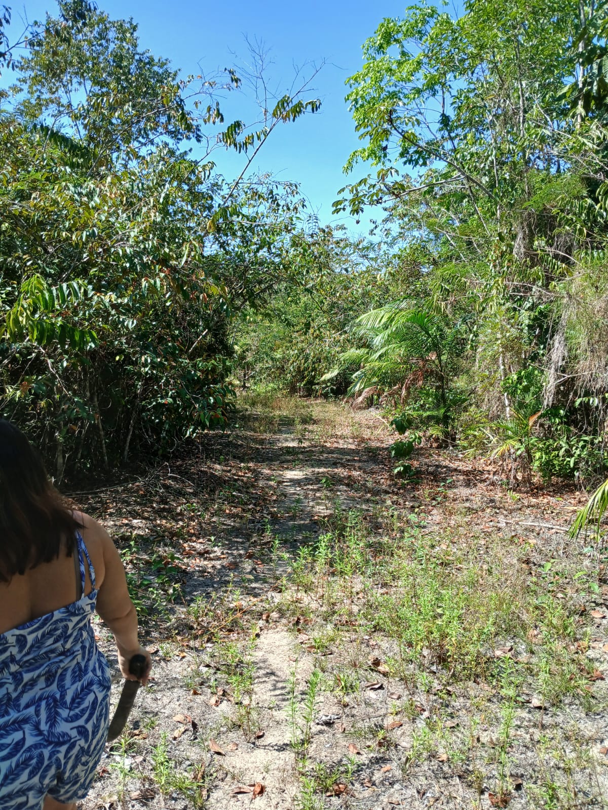 Imagem Terreno à Venda, 80.000 metro em  - Bujaru