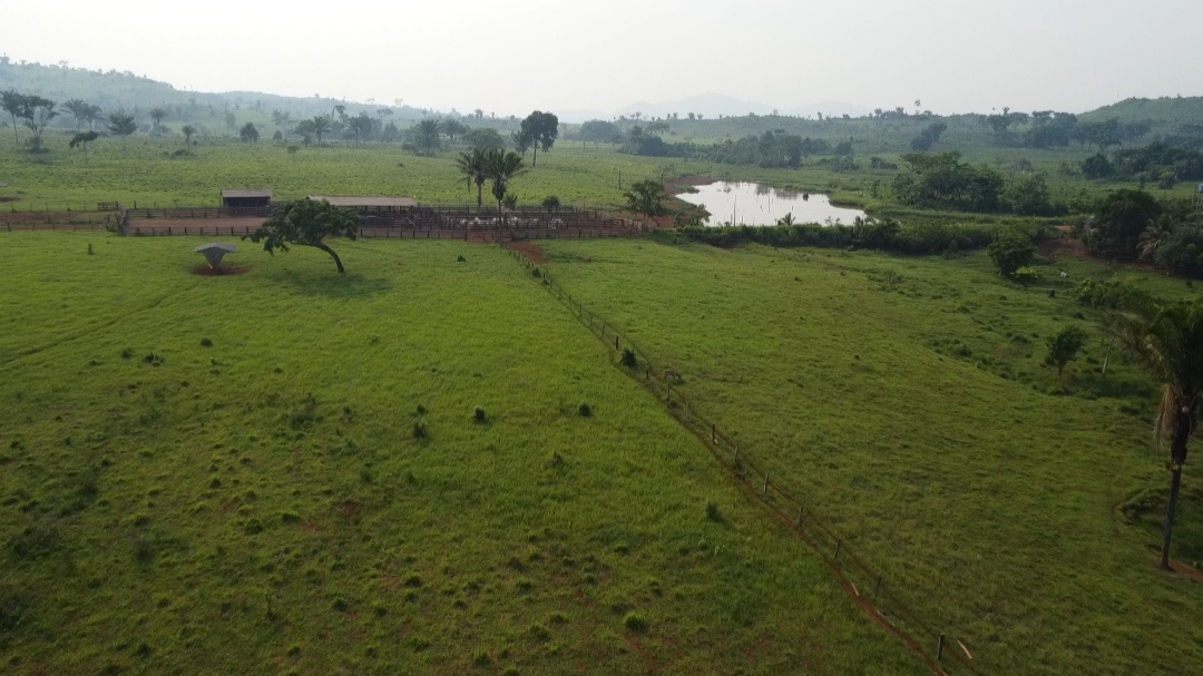 Foto do imóvel: Fazenda à Venda, 1 m²em Centro  - São Félix do Xingu