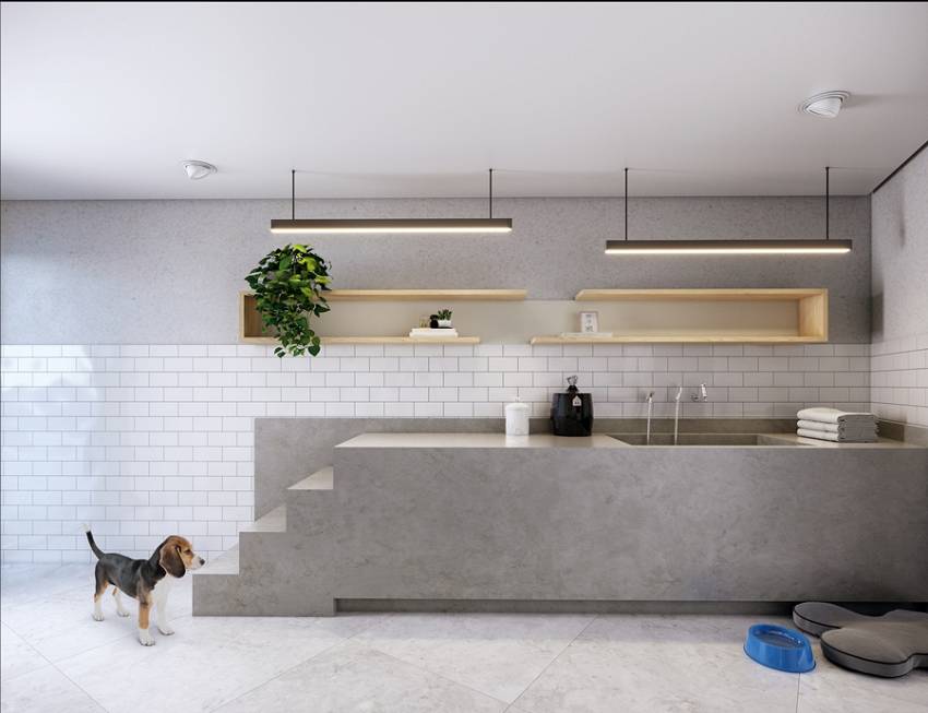 Imagem Apartamento com 3 Quartos à Venda, 92 m²em Vila Santa Catarina - São Paulo