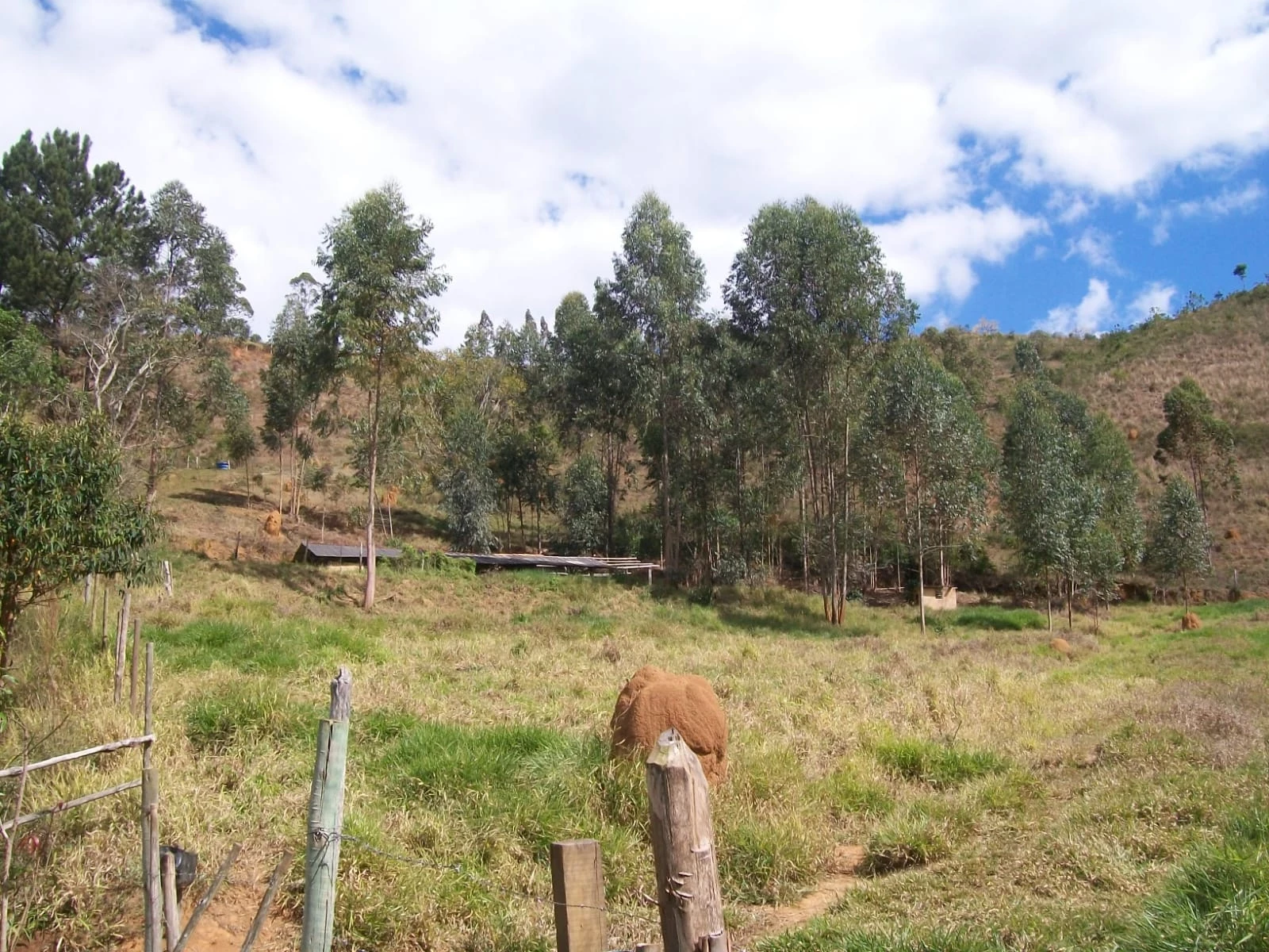 Imagem Chácara com 2 Quartos à Venda, 47.000 m² em Pirapitinga - Juiz de Fora