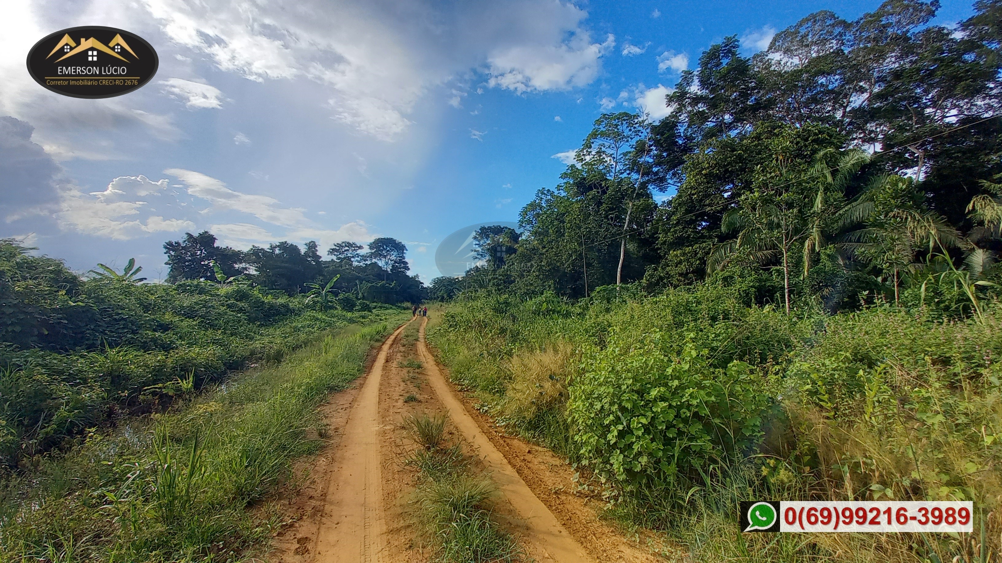 Imagem Fazenda à Venda, 50 HAem Rio Madeira - Porto Velho