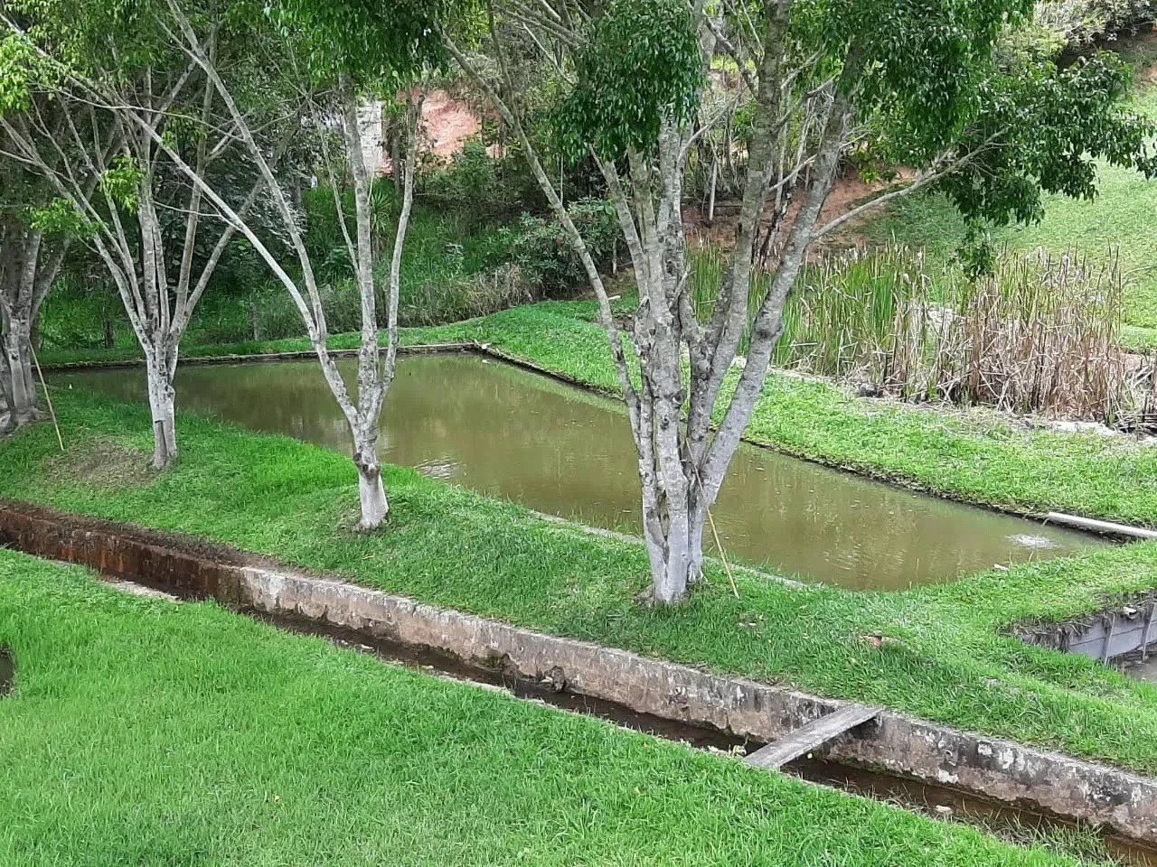 Imagem Chácara com 4 Quartos à Venda, 464 m² em Botujuru (Botujuru) - Campo Limpo Paulista