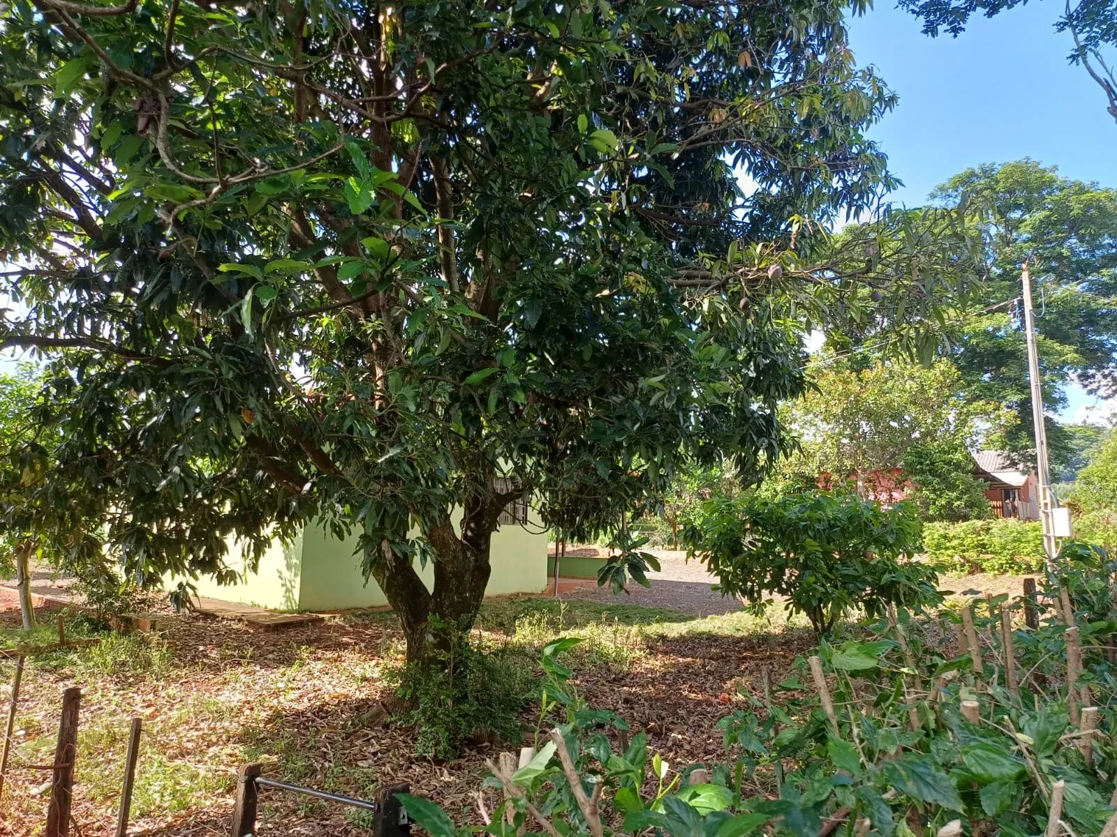 Imagem Chácara com 2 Quartos à Venda ou Locação, 90 m² em Pitangueiras - Pitangueiras