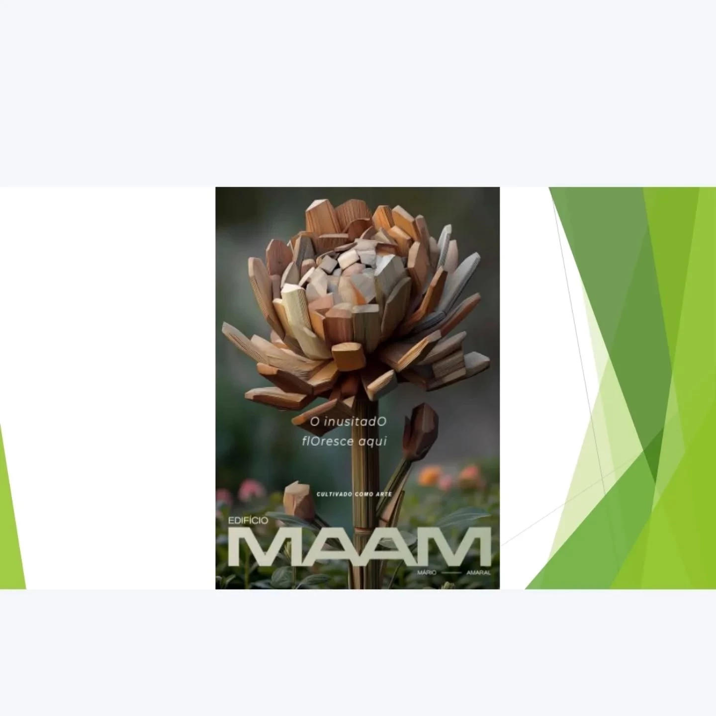 Imagem Apartamento com 3 Quartos à Venda, 230 m² em Paraíso - São Paulo