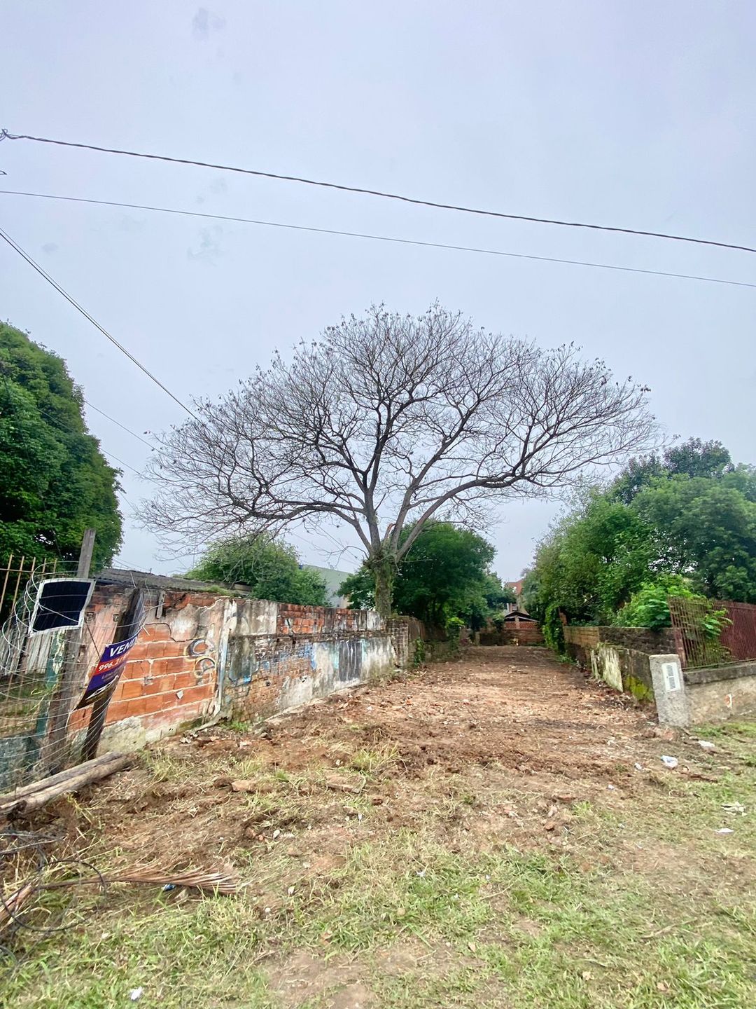 Imagem Terreno à Venda, 346 m² em Fião - São Leopoldo