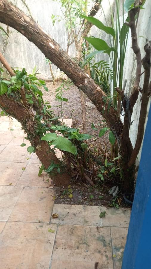 Imagem Casa com 2 Quartos à Venda, 60 m²em Jardim Santa Terezinha - Itanhaém
