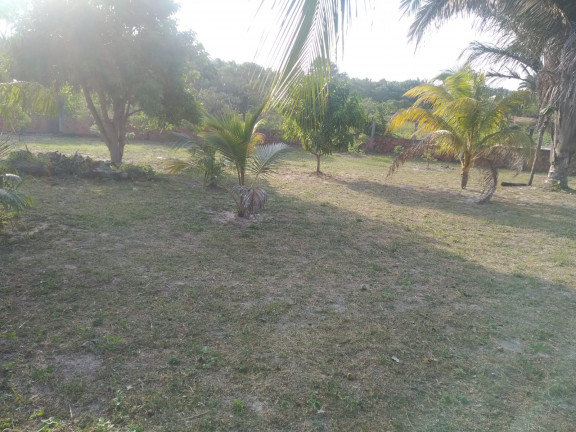 Imagem Terreno à Venda, 5.332 m² em Panaquatira - São José de Ribamar