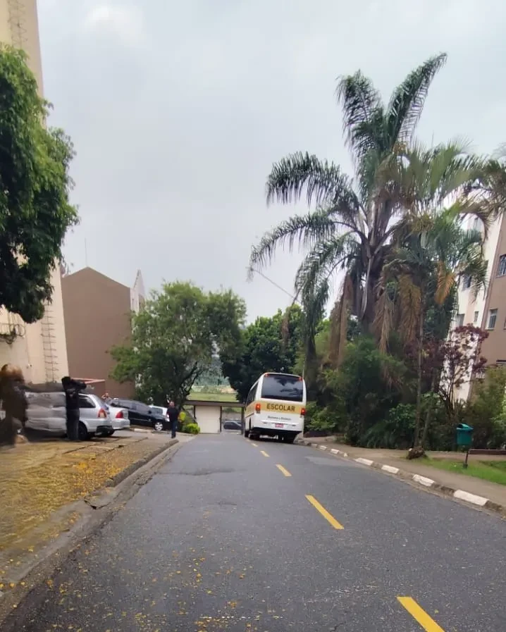 Imagem Apartamento com 2 Quartos à Venda, 43 m² em Vila Hortência - São Paulo