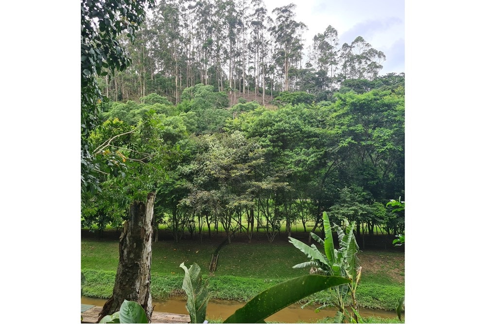 Imagem Terreno à Venda, 5.030 m² em Cuiabá - Petrópolis