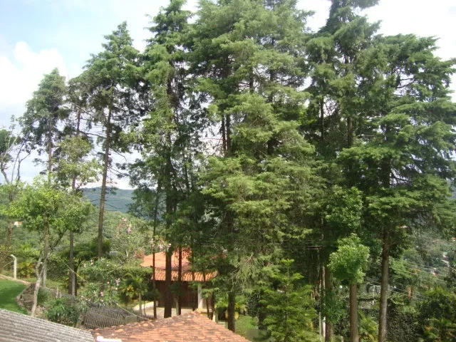 Foto do imóvel: Chácara com 3 Quartos à Venda, 2300 m² em Mato Dentro - Mairiporã