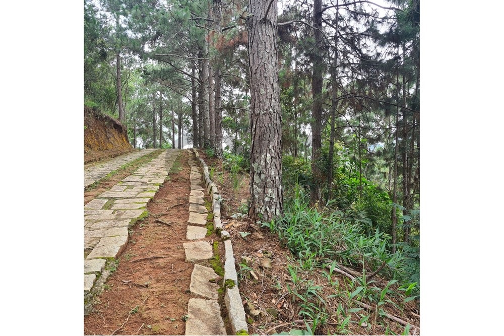 Imagem Terreno à Venda, 5.030 m² em Cuiabá - Petrópolis