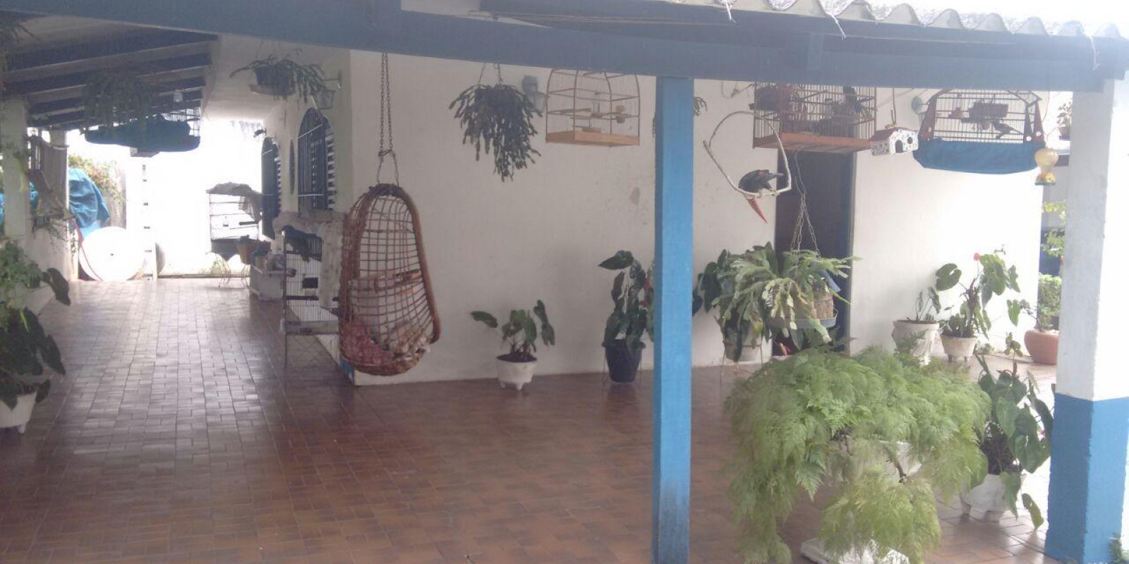 Imagem Chácara com 3 Quartos à Venda,  em Centro Sede - Santa Isabel