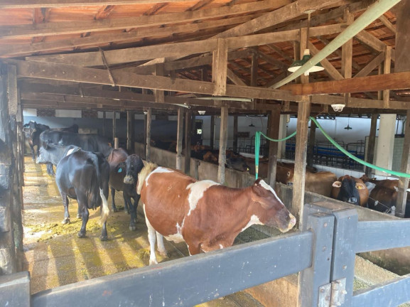 Imagem Chácara com 7 Quartos à Venda, 58.000 m² em Olhos  D'água  - Alexânia  - GO - Alexânia