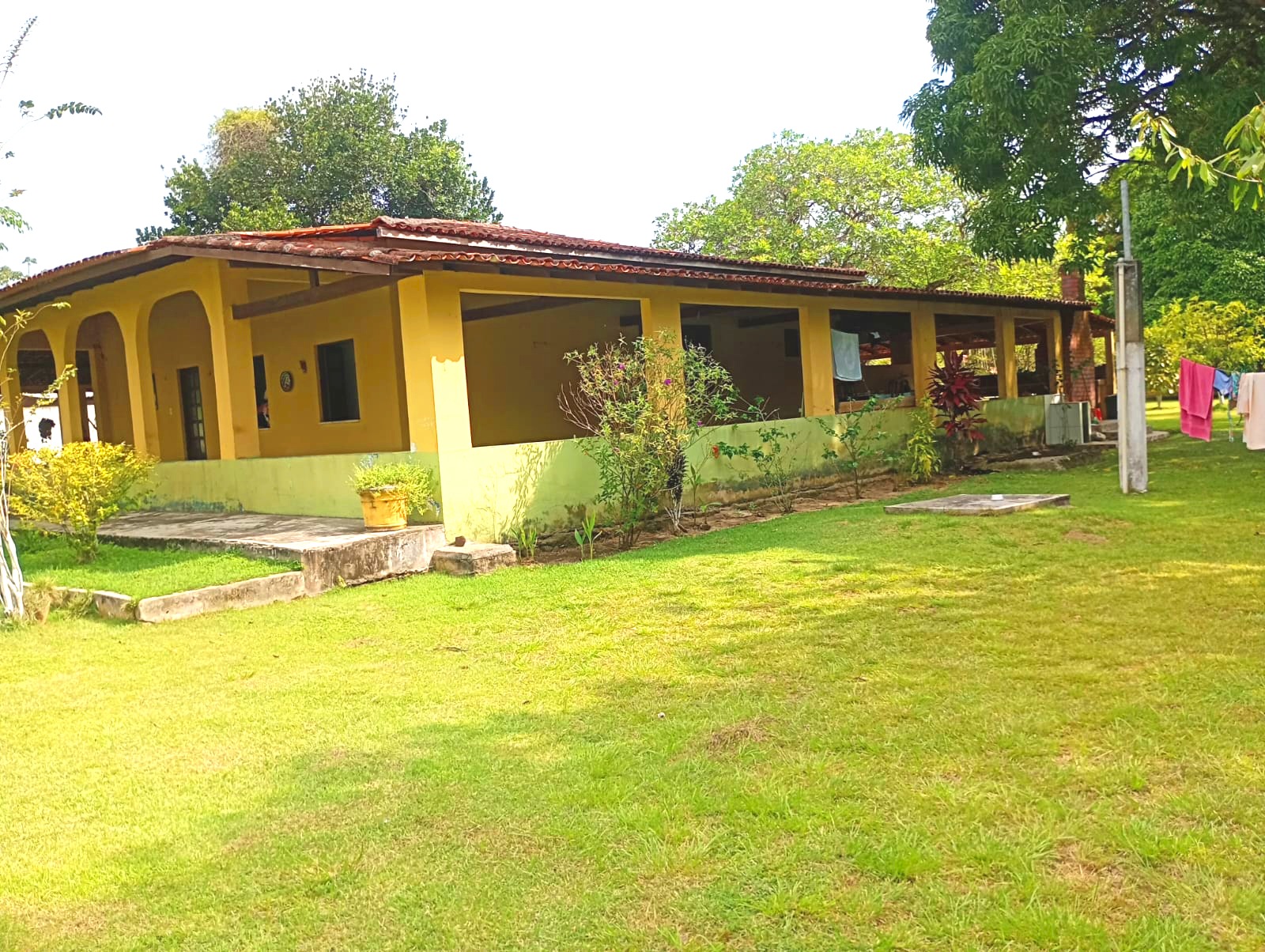Imagem Chácara com 3 Quartos à Venda, 15 m²em Pau Darco - Santa Bárbara do Pará