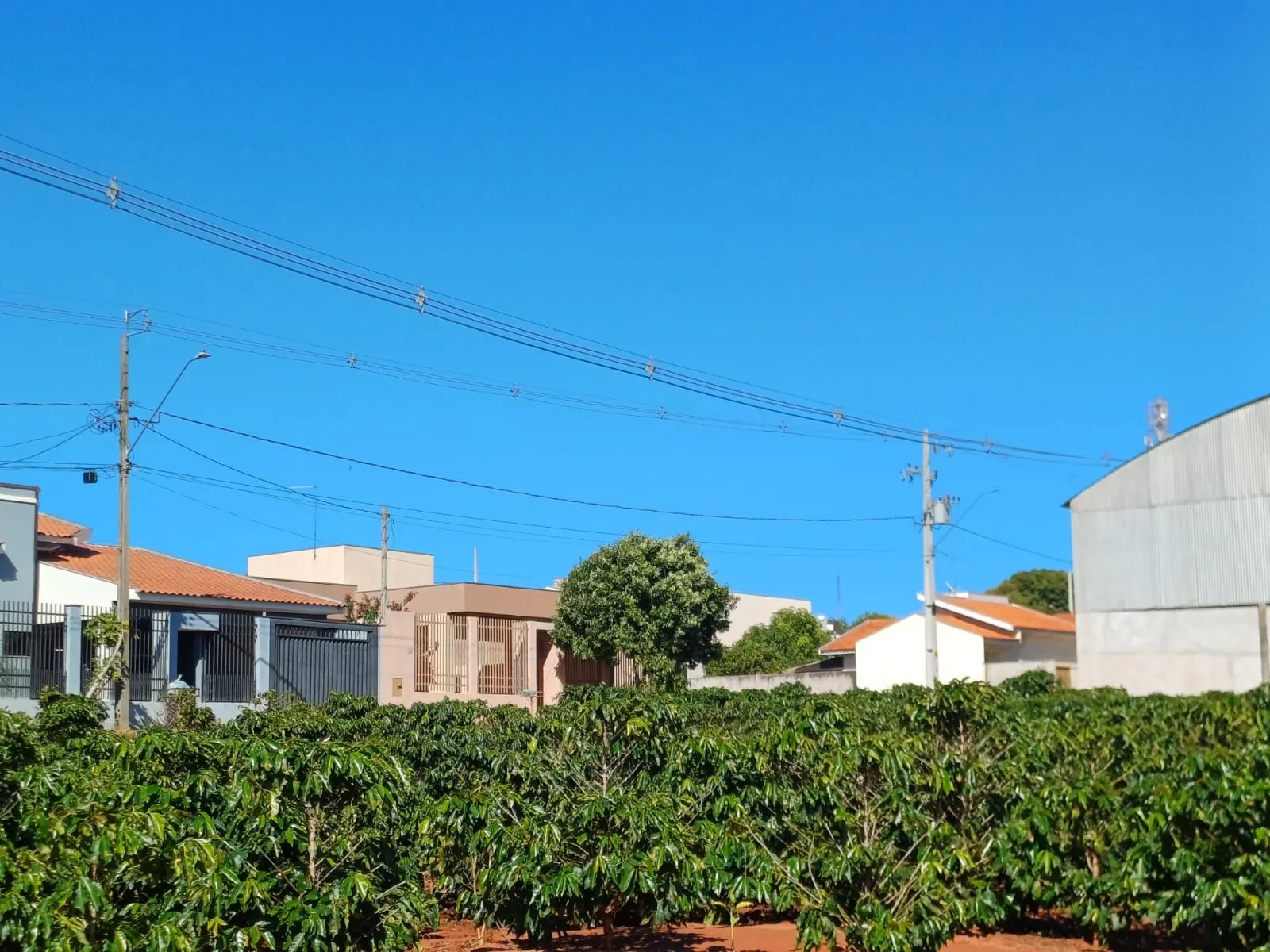 Imagem Chácara à Venda, 4000 m² em Pitangueiras - Pitangueiras