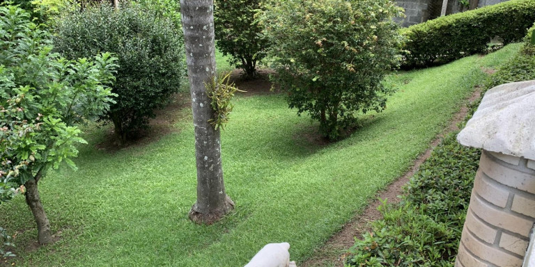 Imagem Chácara com 4 Quartos à Venda, 1.000 m² em Centro - Santa Isabel