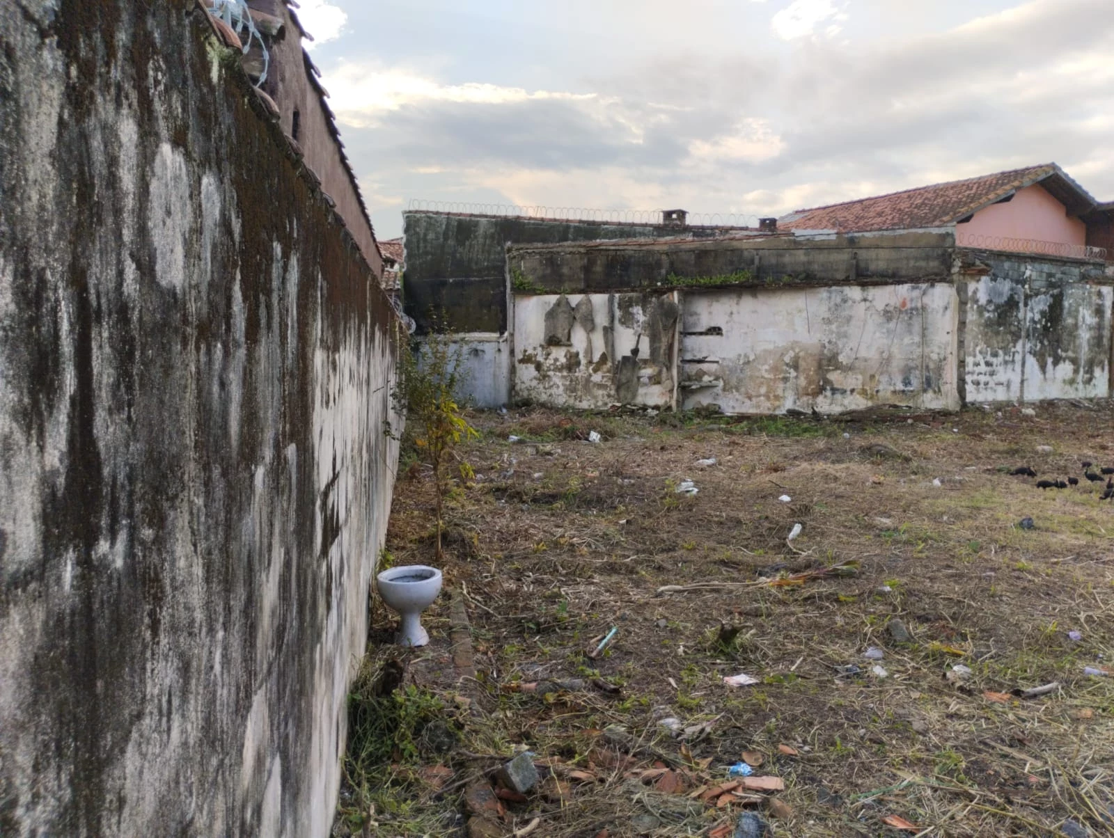 Imagem Terreno à Venda, 799 m² em Vila Atlântica - Mongaguá