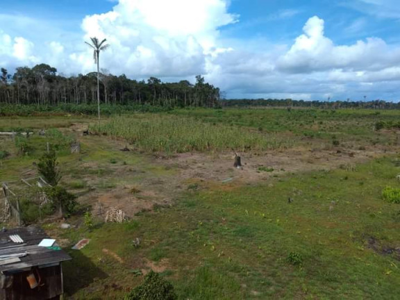 Imagem Terreno à Venda, 4.000 m² em Zona Rural - Humaitá