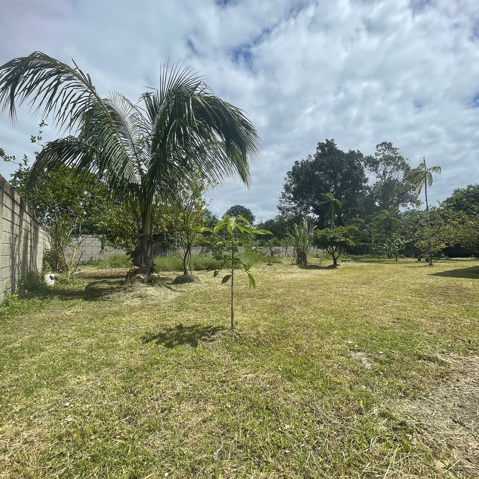 Imagem Chácara com 2 Quartos à Venda, 60 m²em Balneário Gaivota - Itanhaém