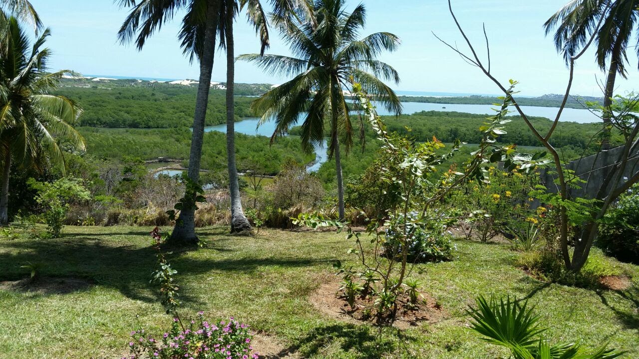 Imagem Terreno à Venda, 7 m²em CENTRO - Senador Georgino Avelino