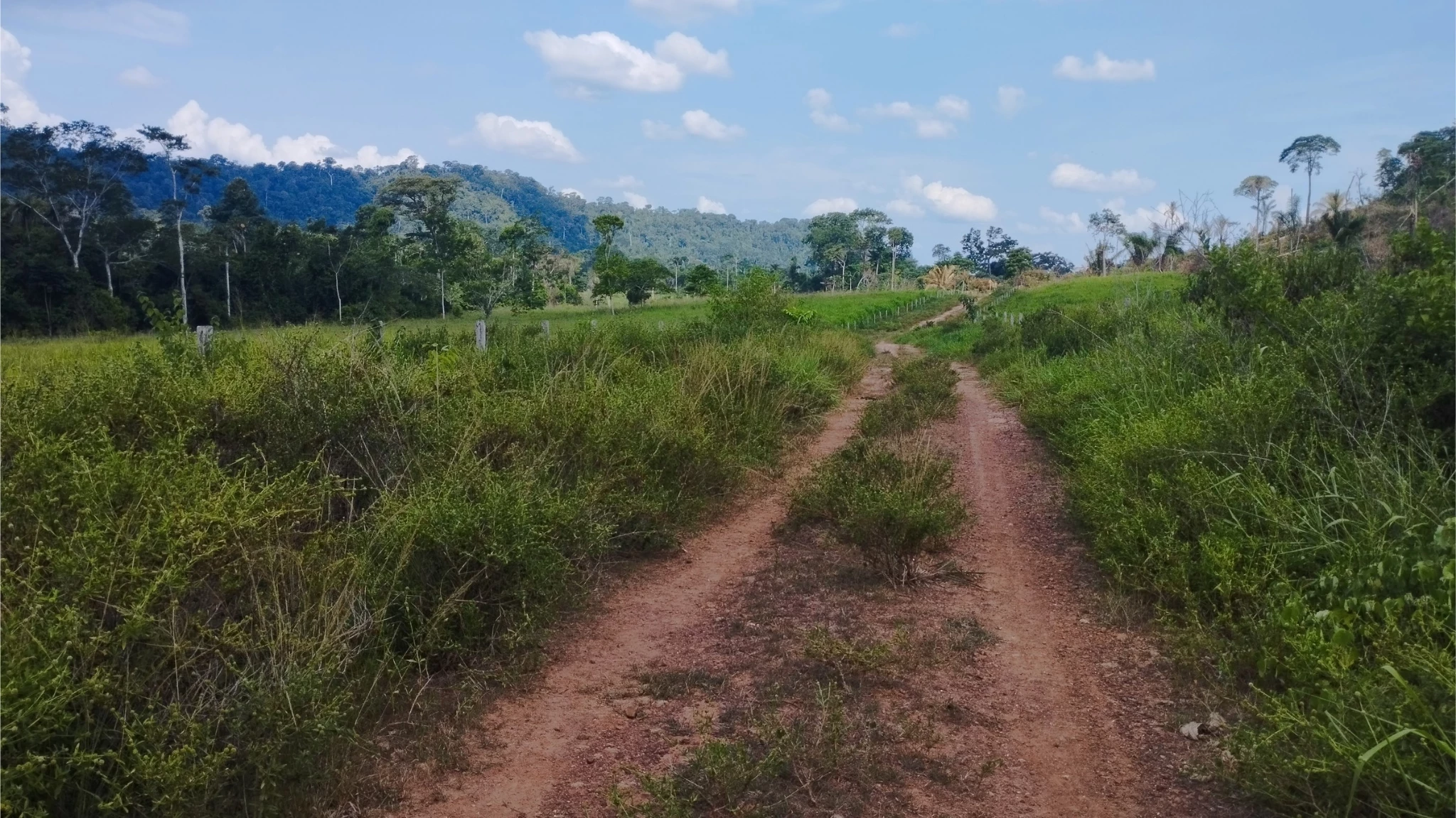 Foto do imóvel: Fazenda à Venda, 58 Alq. GO em São Félix do Xingu - São Félix do Xingu