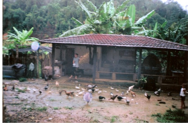Imagem Terreno à Venda, 726.000 m² em Jardim Mirna - Taboão da Serra