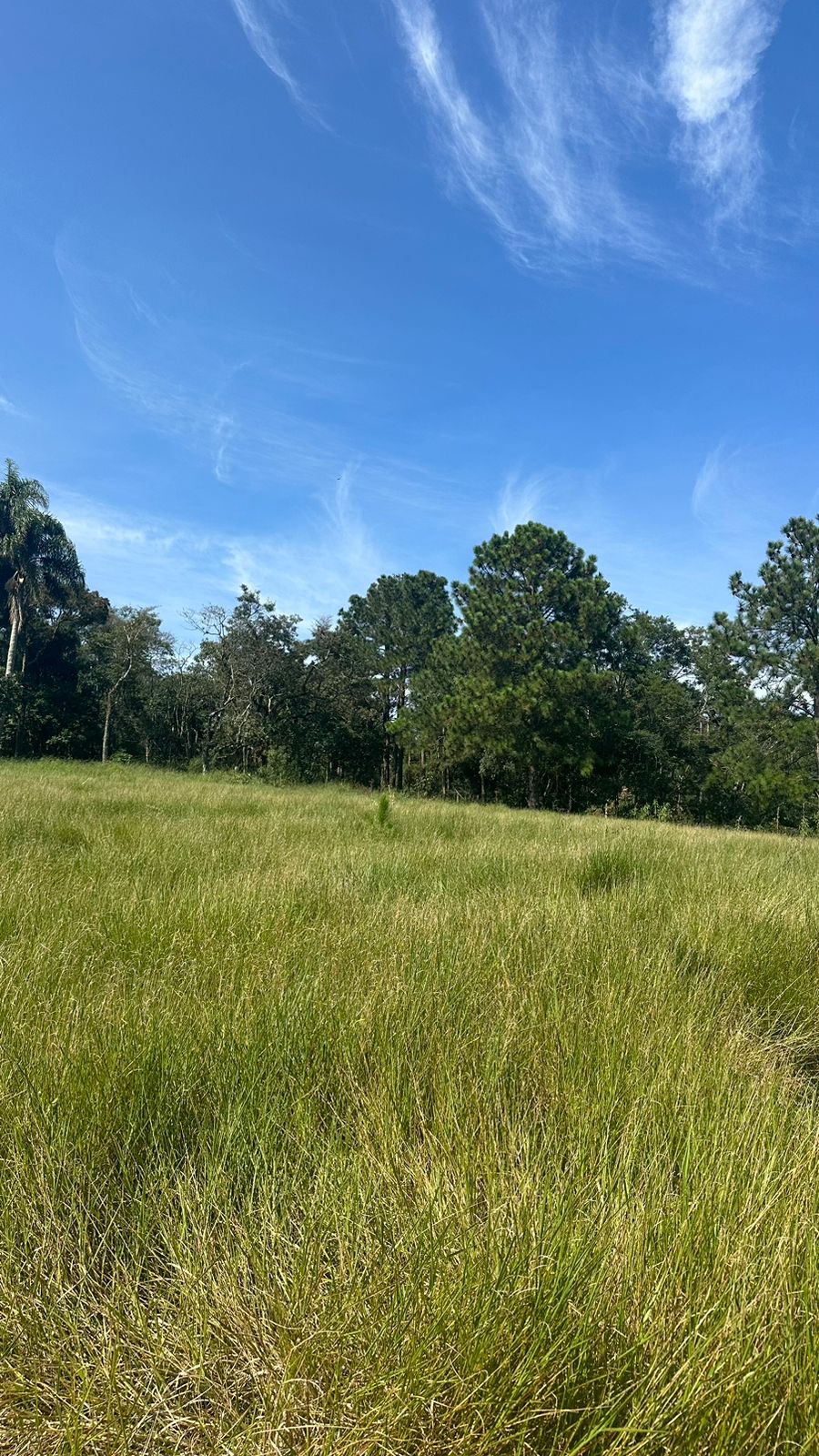 Imagem Terreno à Venda, 500 m²em Lageadinho - Ibiúna