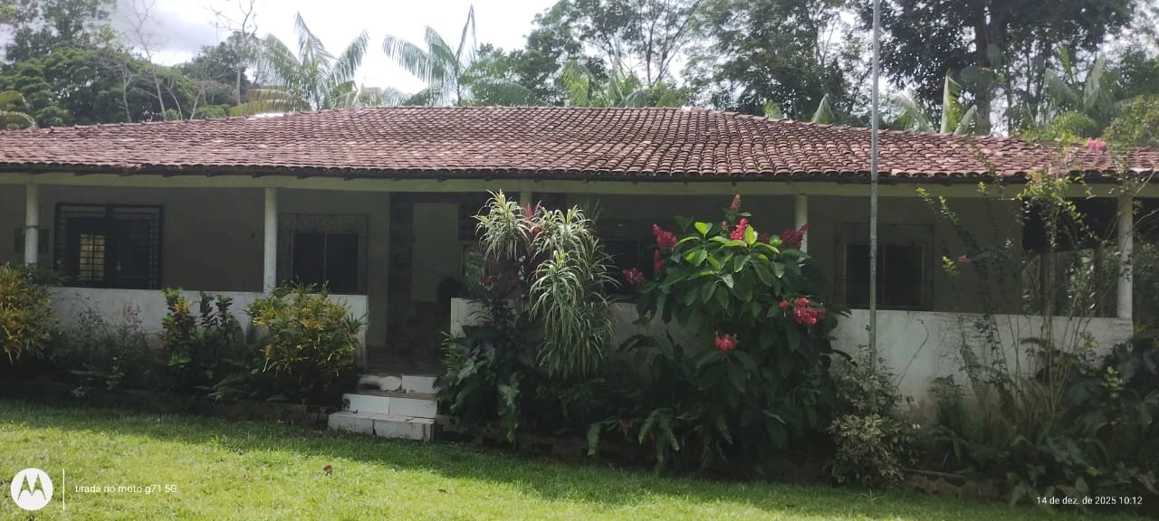 Imagem Chácara à Venda, 28000 m² em Santa Bárbara do Pará - Santa Bárbara do Pará