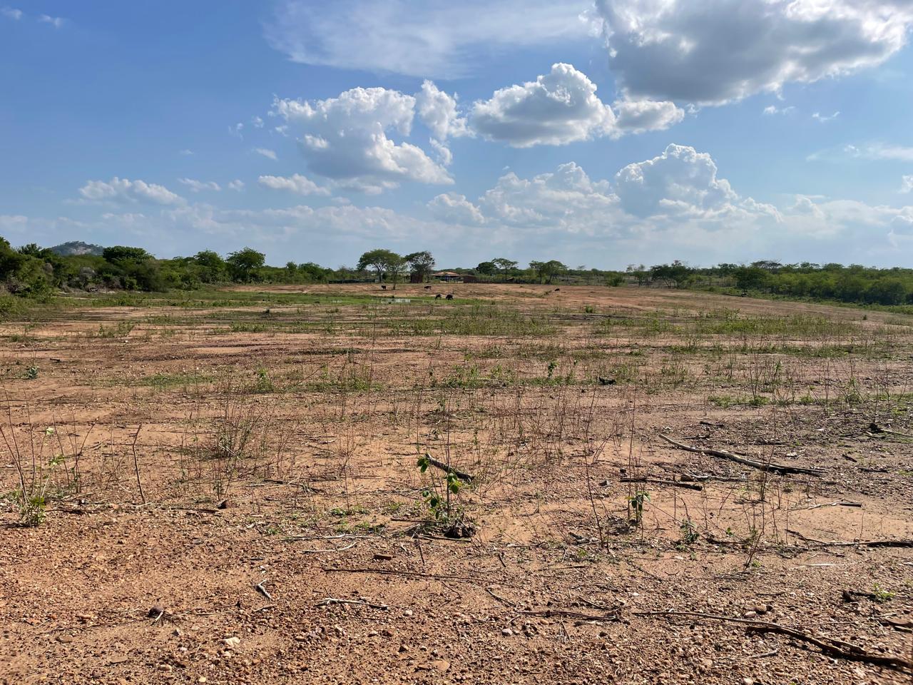 Foto do imóvel: Terreno à Venda ou Locação, 1.000 m² em Zona Rural - Itaporanga