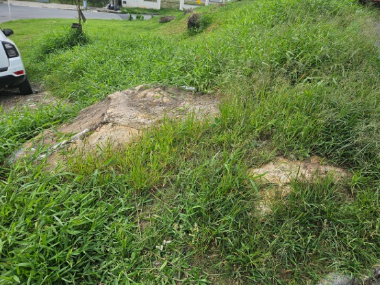 Imagem Terreno à Venda, 420 m² em Nações - Balneário Camboriú