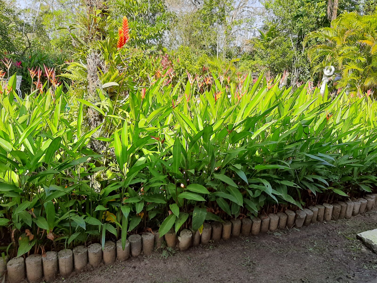 Imagem Chácara com 4 Quartos à Venda, 300 m²em Agenor de Campos - Mongaguá