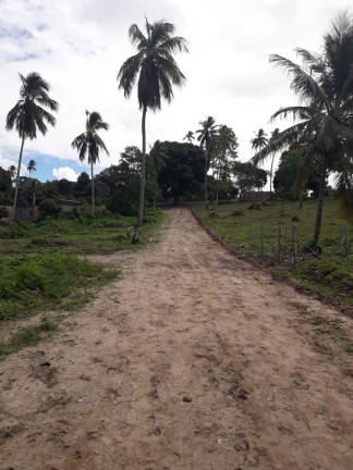 Imagem Terreno à Venda, 200 m²em Várzea da Meira (Monte Gordo) - Camaçari