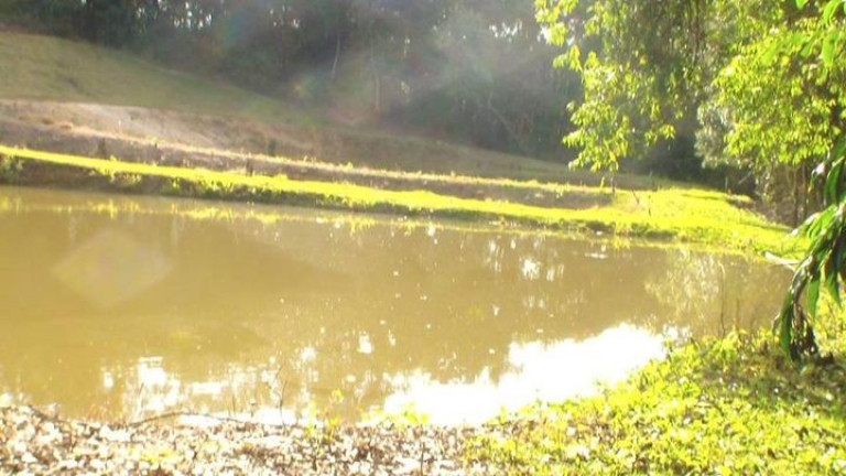 Imagem Chácara com 3 Quartos à Venda, 96.800 m² em Jardim Santa Esmeralda - Sorocaba