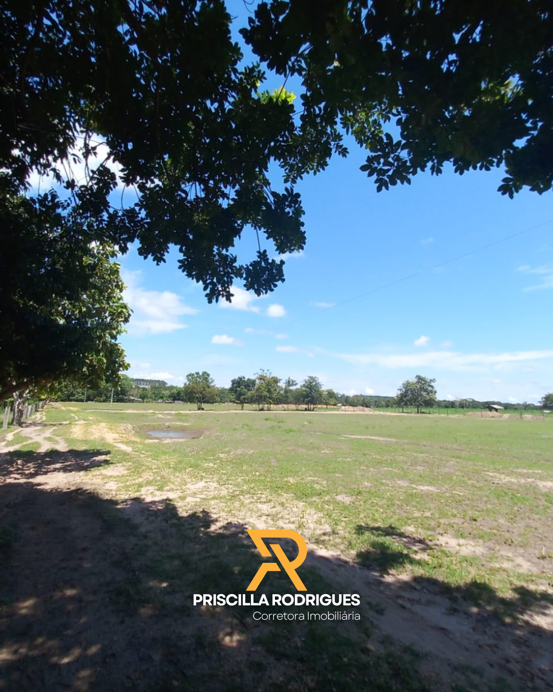 Imagem Fazenda à Venda, 10 HA em  - 