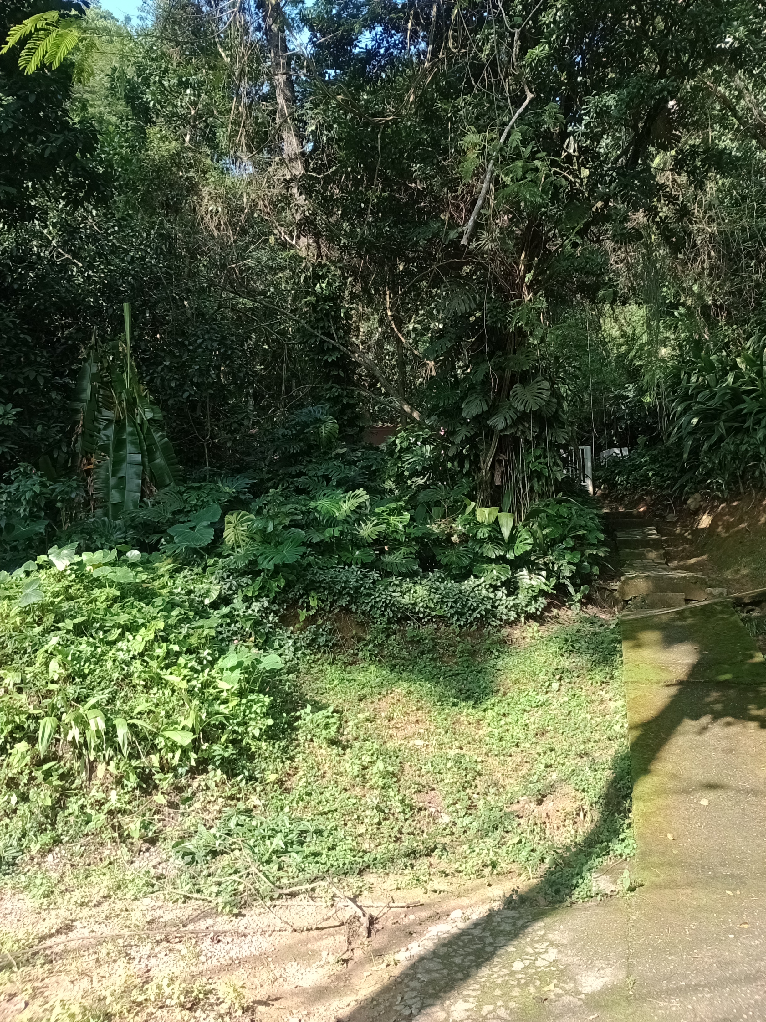 Imagem Terreno à Venda, 12.653 m² em Alto da Boa Vista - Rio de Janeiro